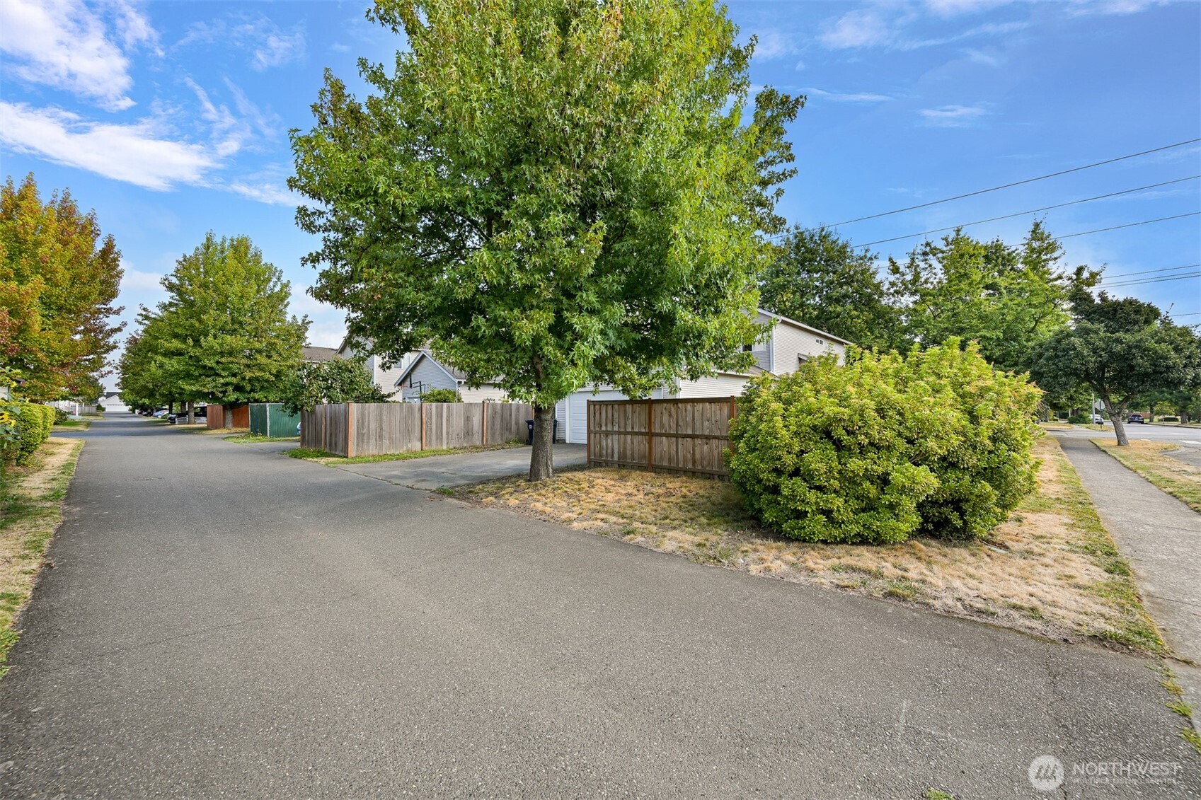 Home partly screened by a large tree, shrubs, and wooden fencing beside a paved lane.