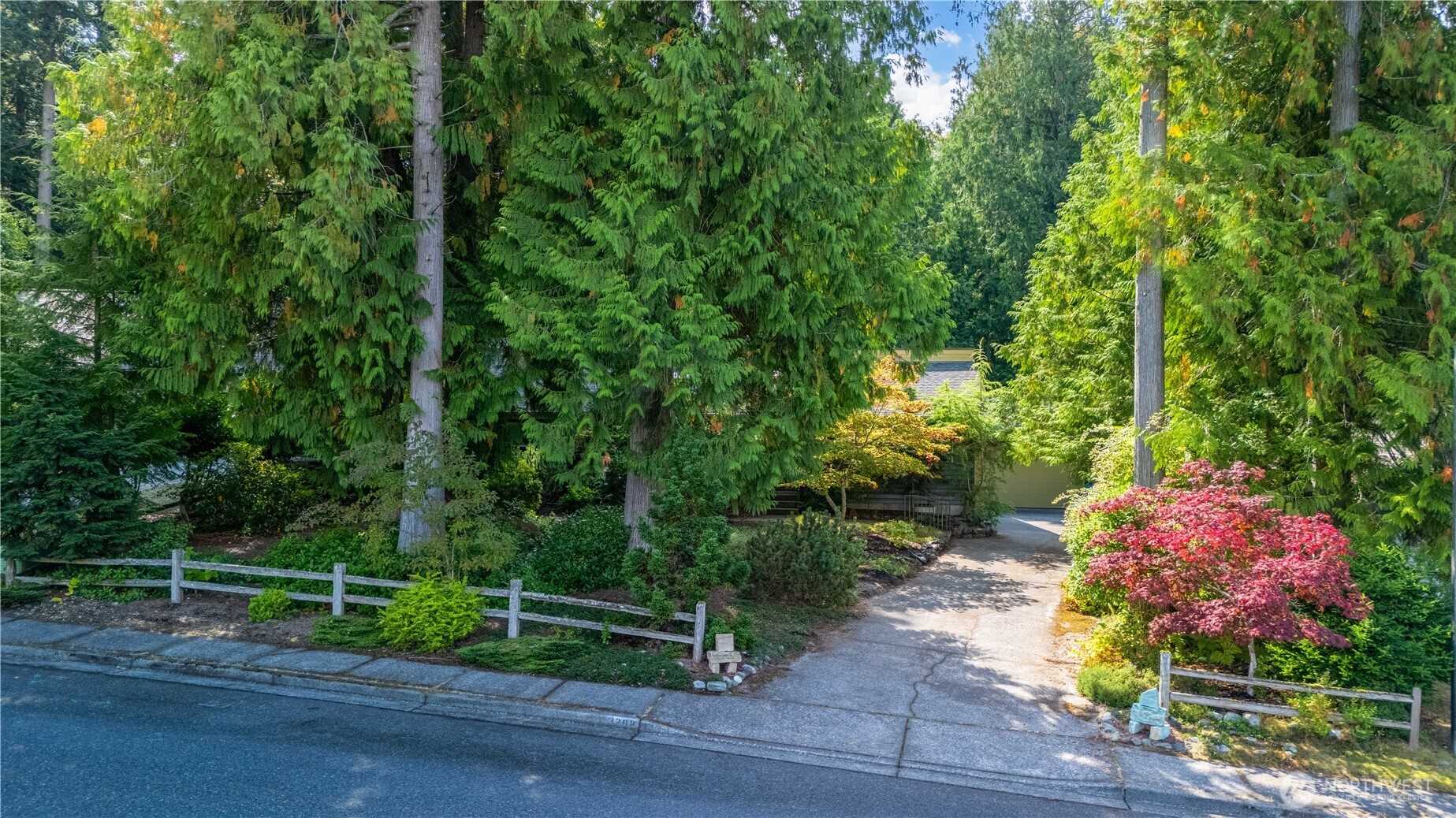 Tree-lined driveway leading to a home, framed by a low fence and colorful landscaped shrubs.
