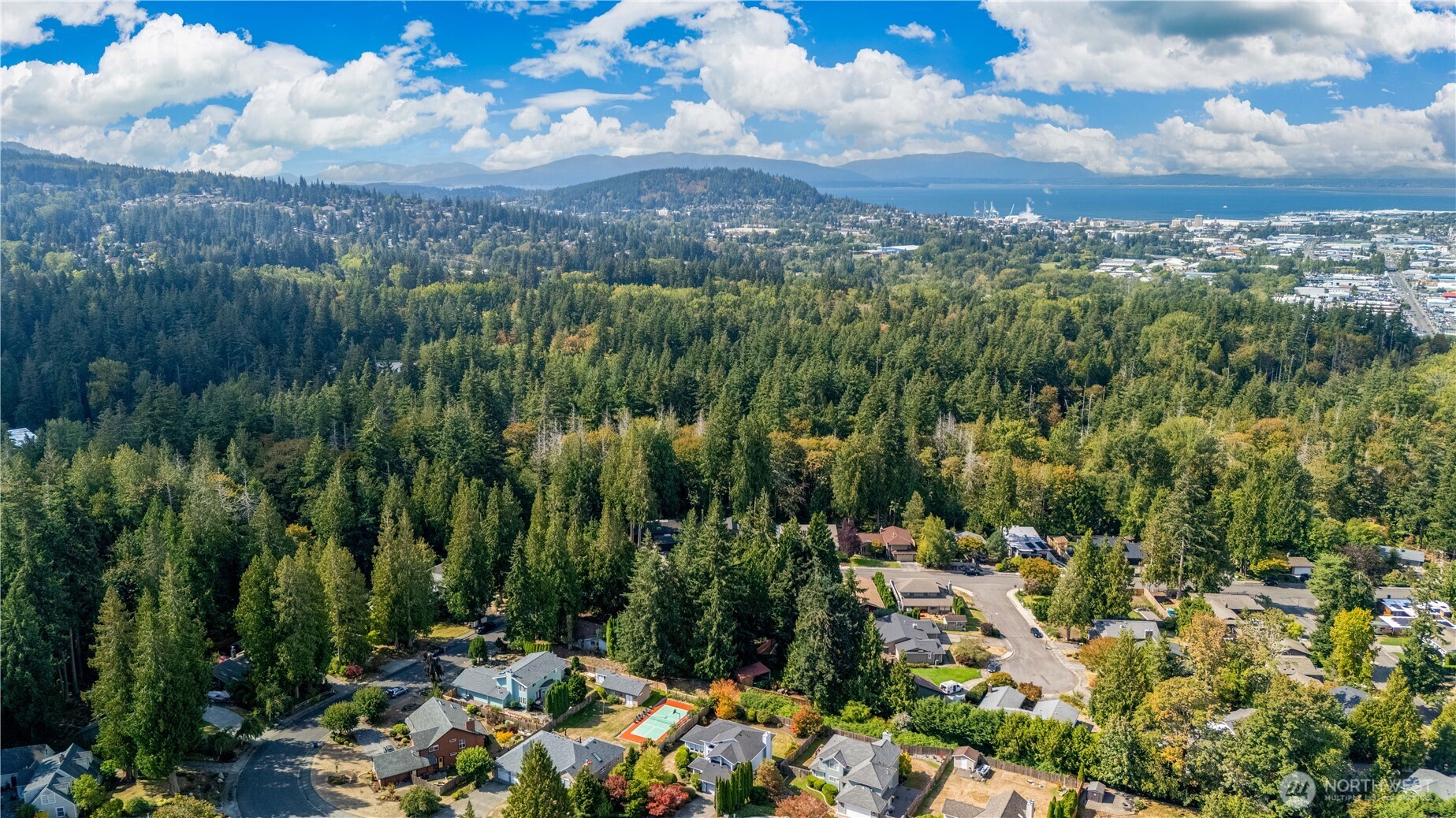 Aerial view of a wooded Bellingham neighborhood, with the bay and distant mountains beyond.