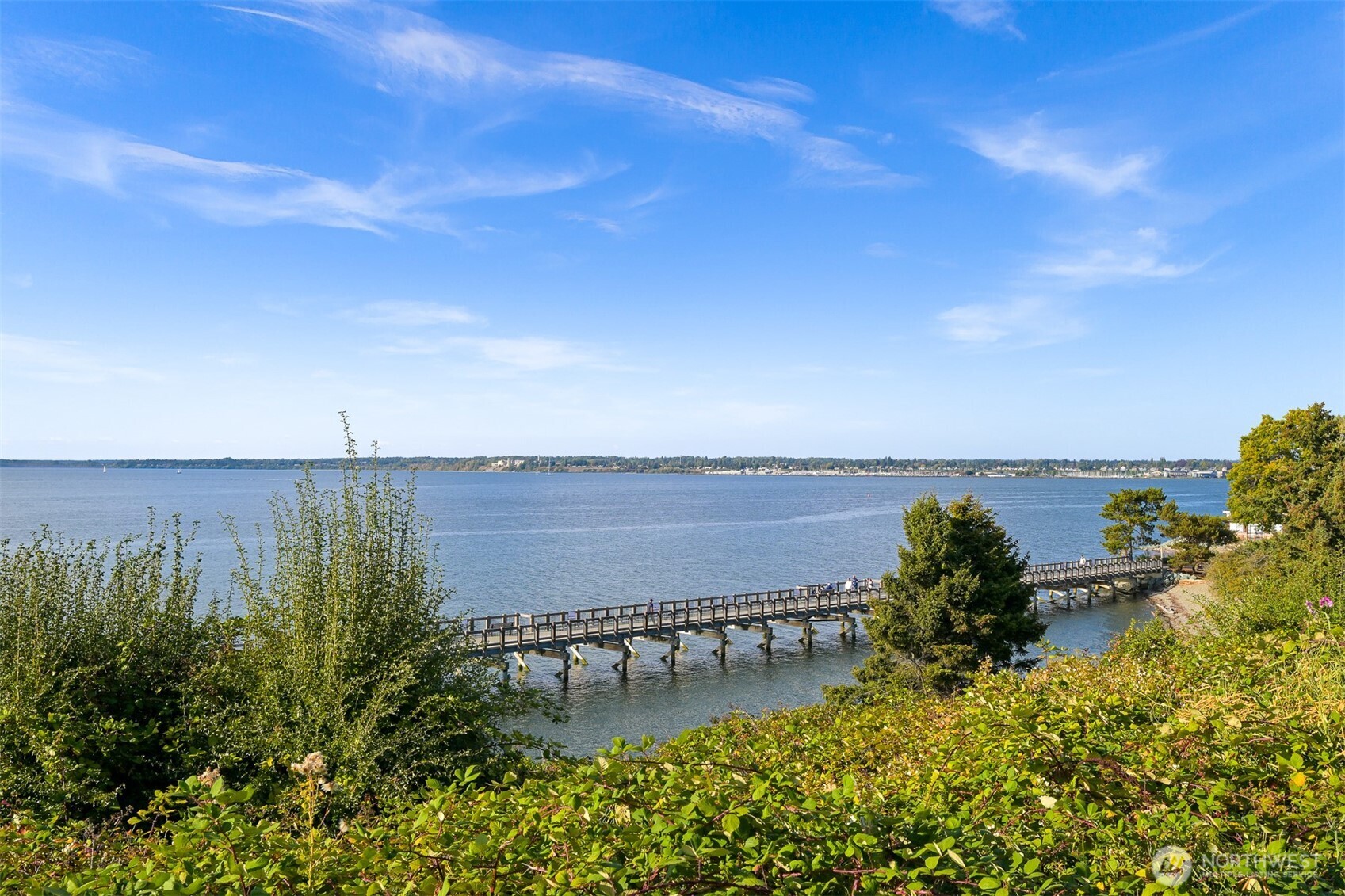 Waterfront view with a wooden boardwalk winding through shoreline greenery.