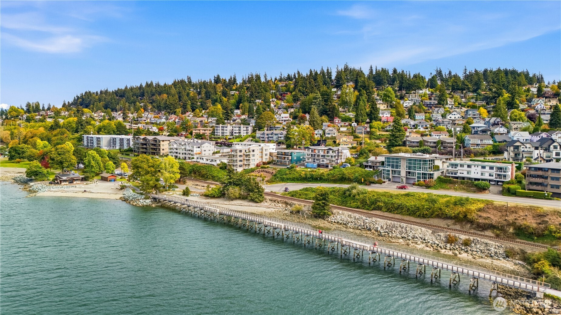 Aerial view of Bellingham waterfront buildings, a shoreline pier, and homes on a wooded hillside.
