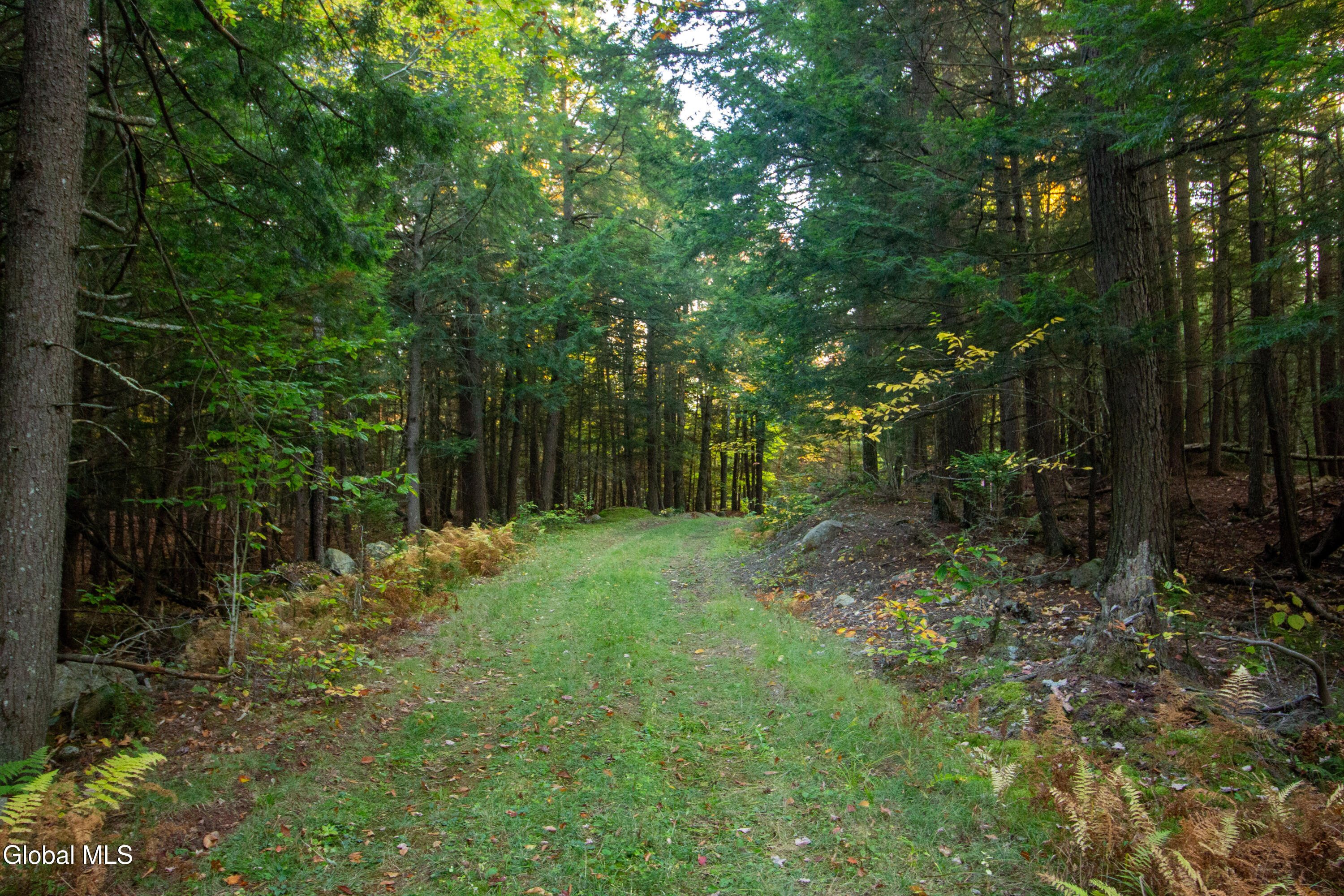 0000 State Route 28N