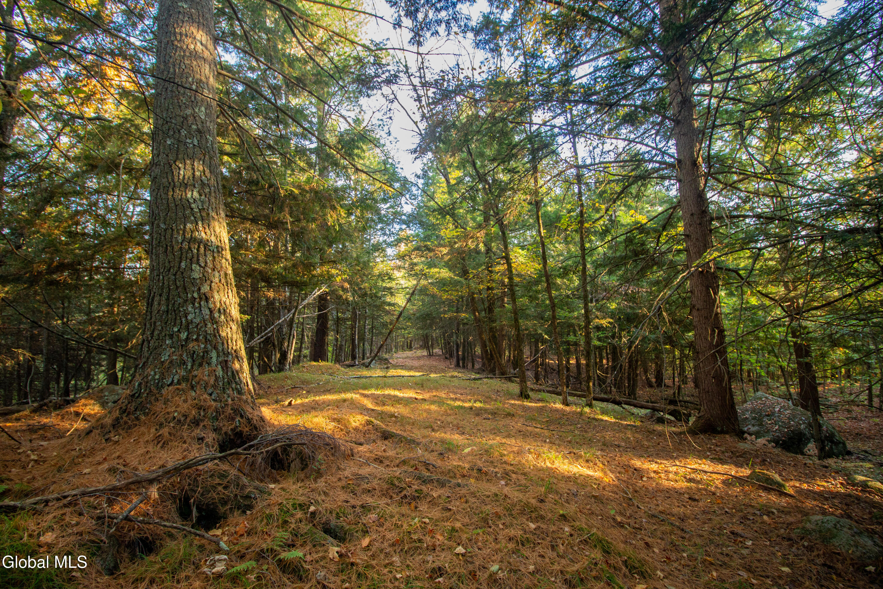 0000 State Route 28N