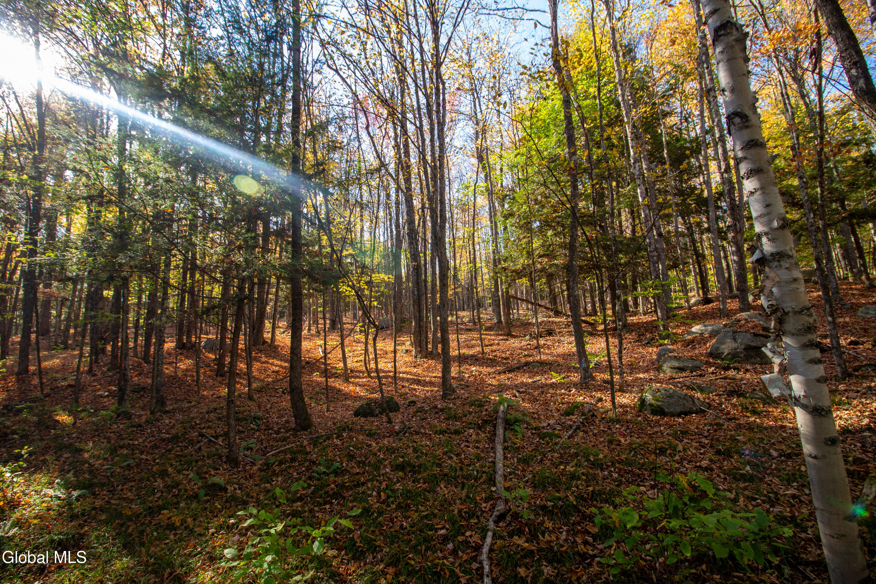 0000 State Route 28N