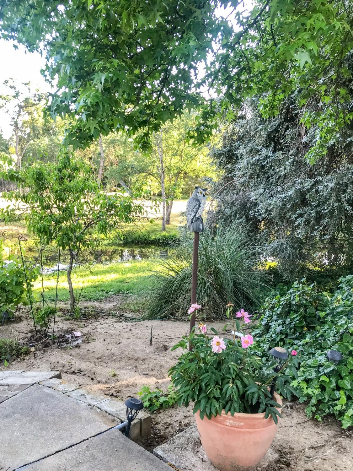 338 Diamond Oaks Road