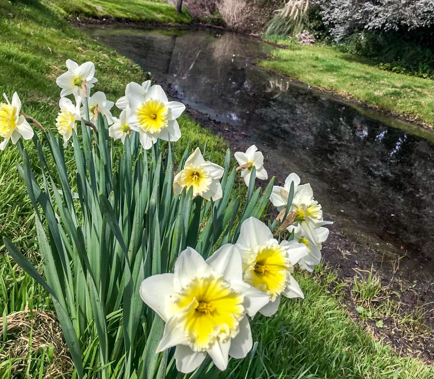 338 Diamond Oaks Road