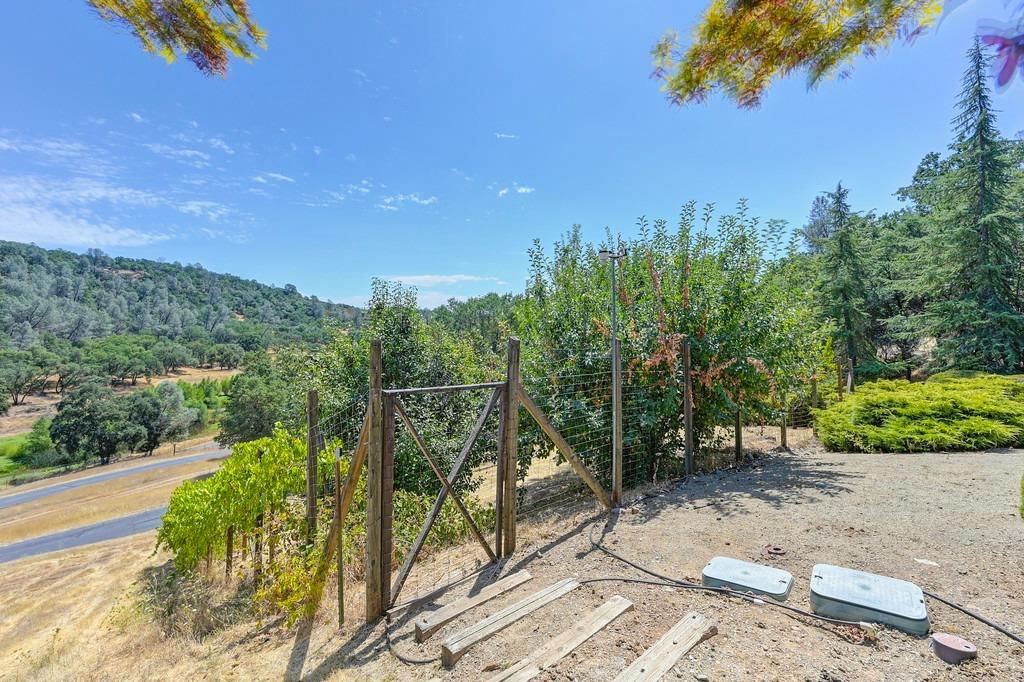 1688 Springvale Road