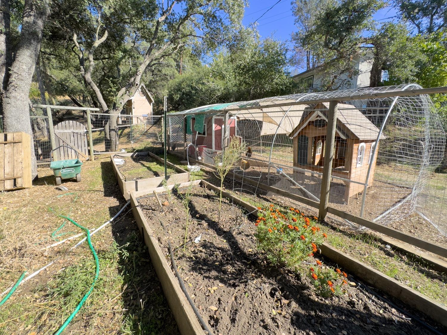 770 Lazo Court, El Dorado Hills CA, 95762