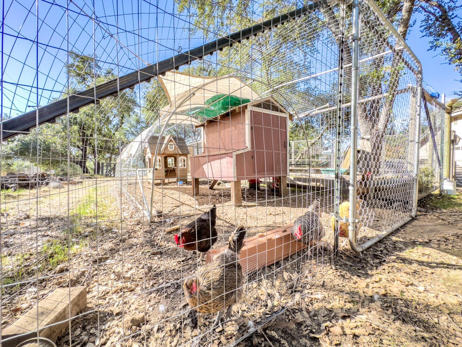 770 Lazo Court, El Dorado Hills CA, 95762