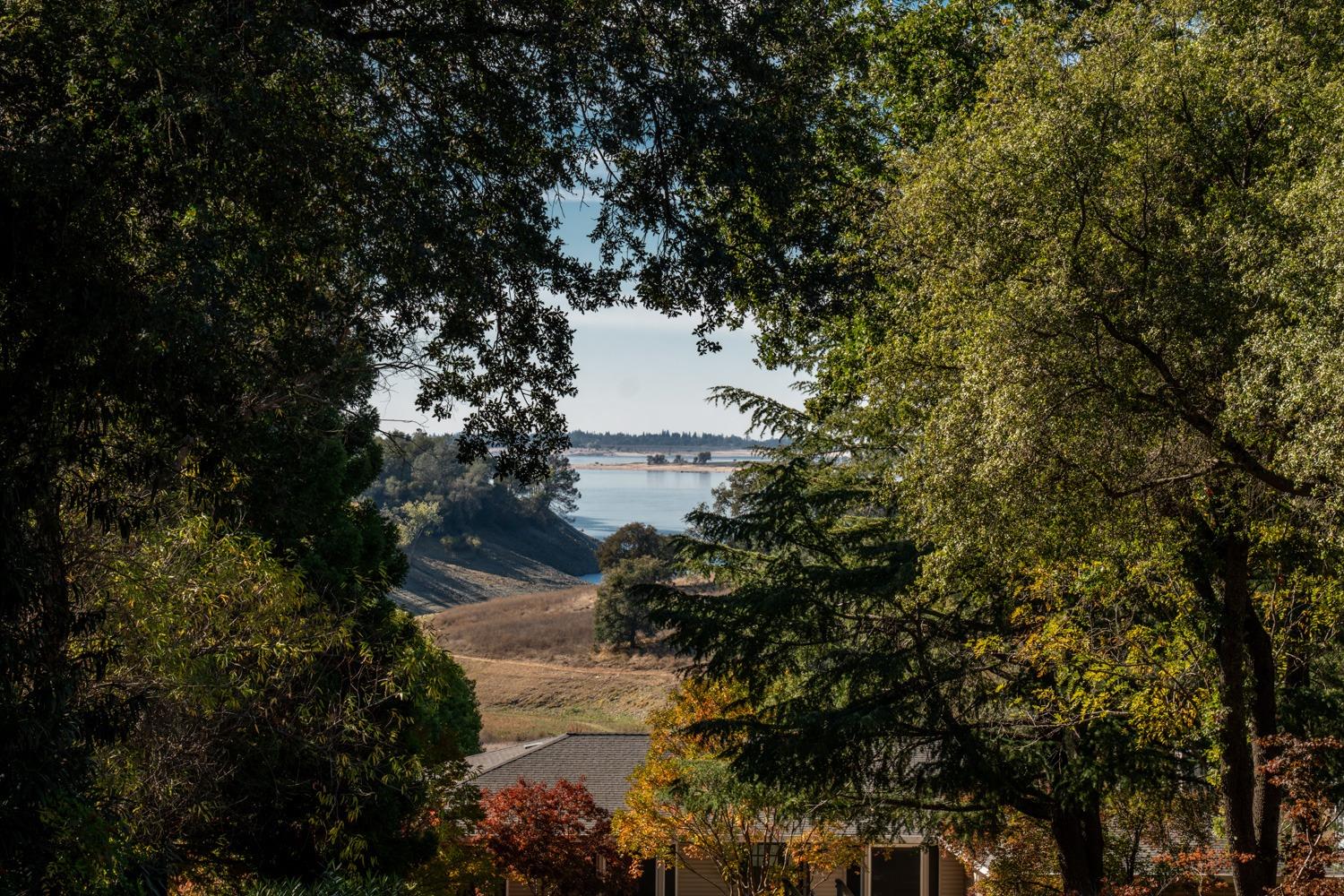 770 Lazo Court, El Dorado Hills CA, 95762