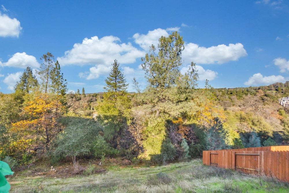 2850 Winesap Circle, Placerville CA, 95667