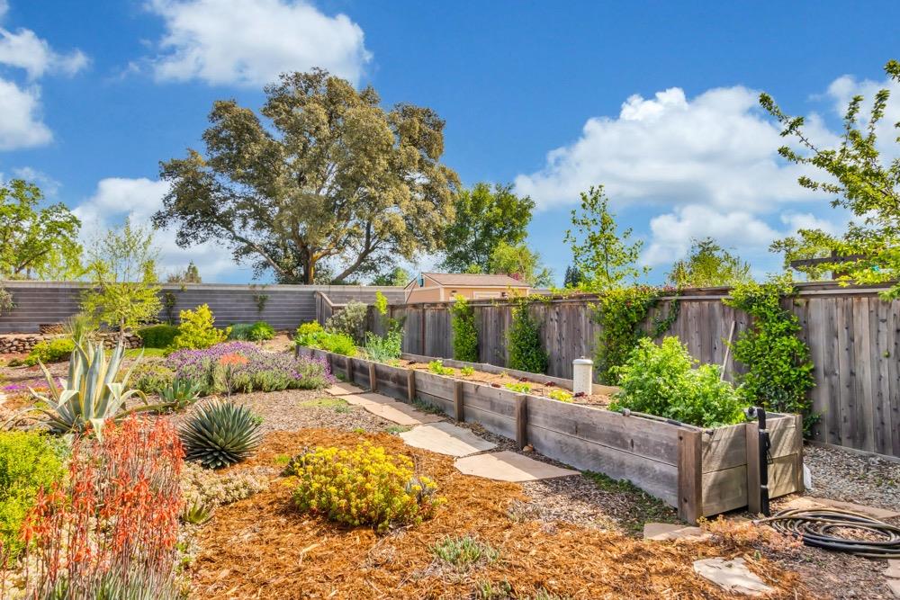 3938 Deergrass Circle