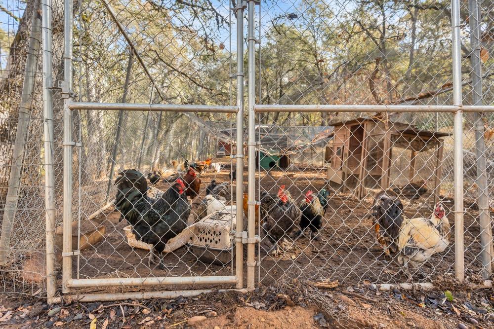 4940 Grandview Court