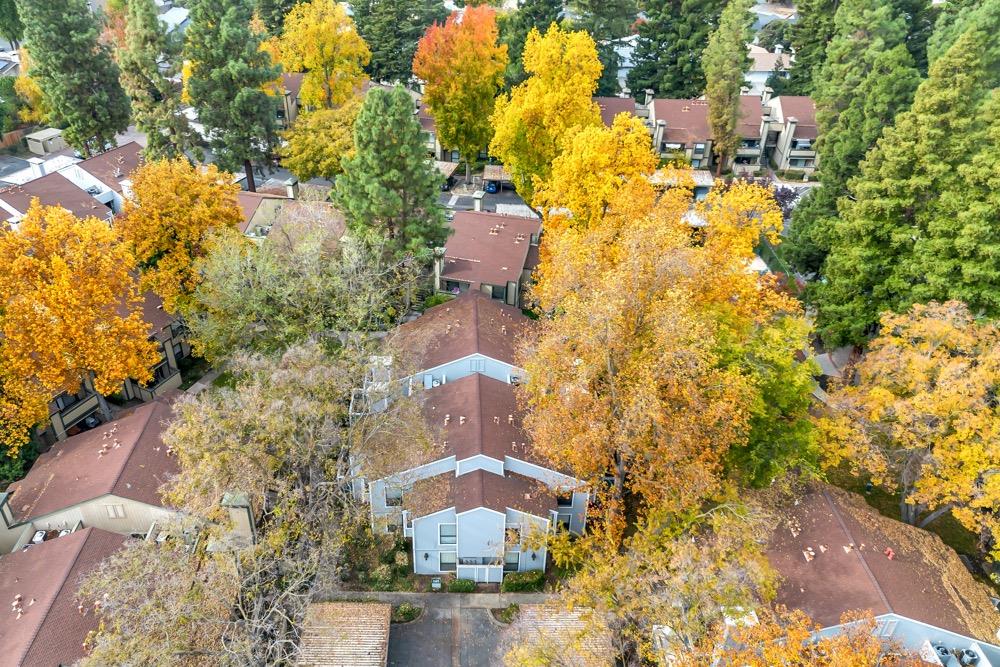 650 Del Verde Circle 8