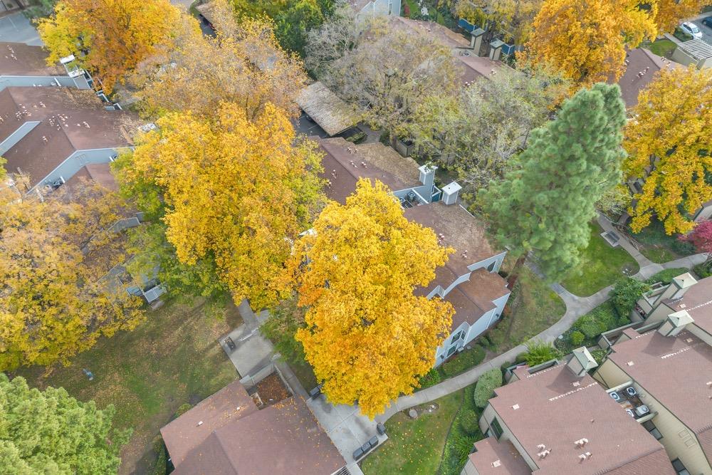 650 Del Verde Circle 8