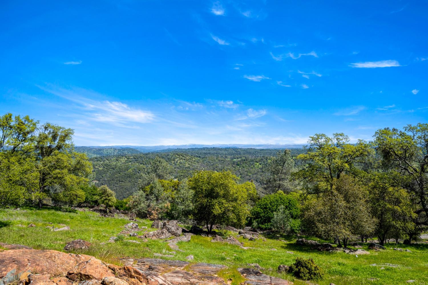 7649 Crystal Boulevard