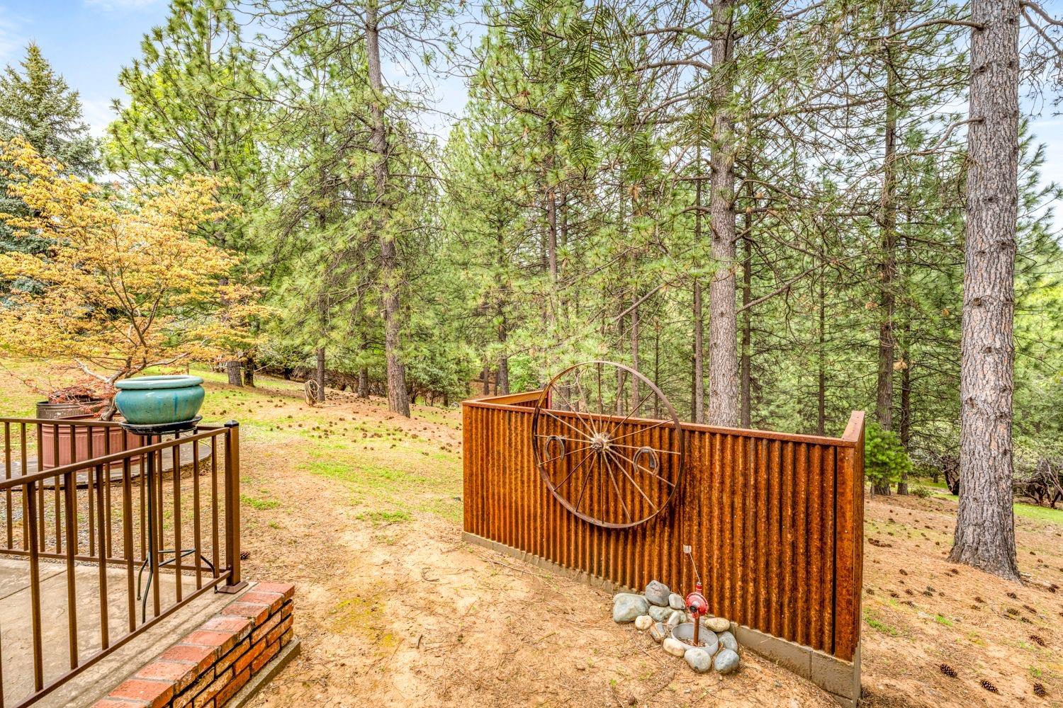 6255 Sly Park Road