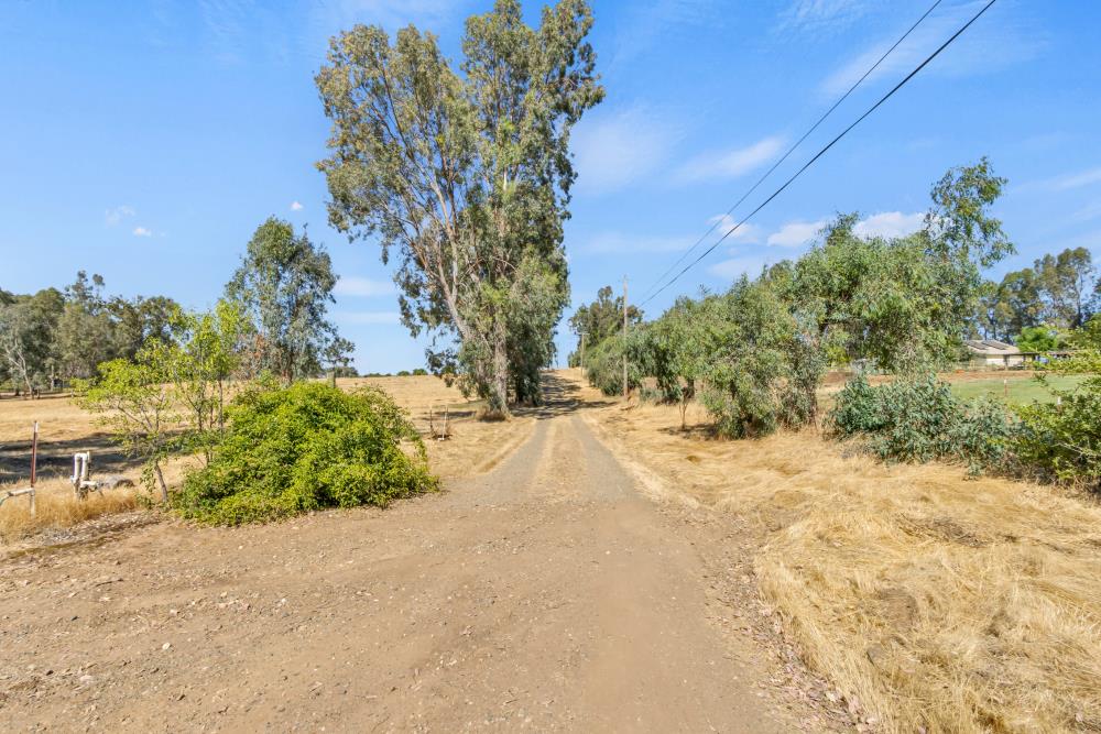 7494 Meadowlark Lane