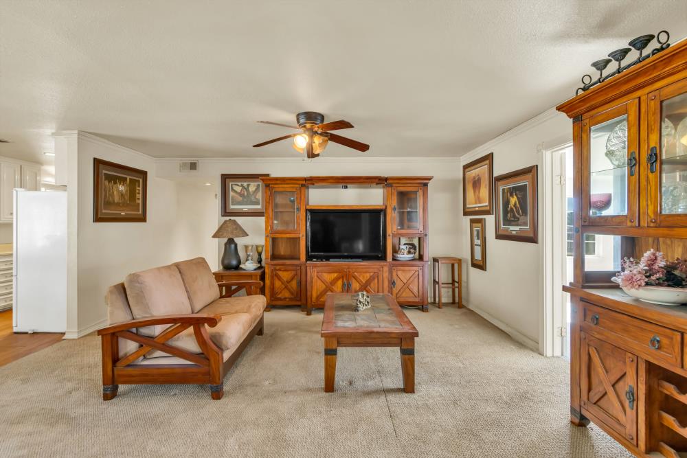 7494 Meadowlark Lane