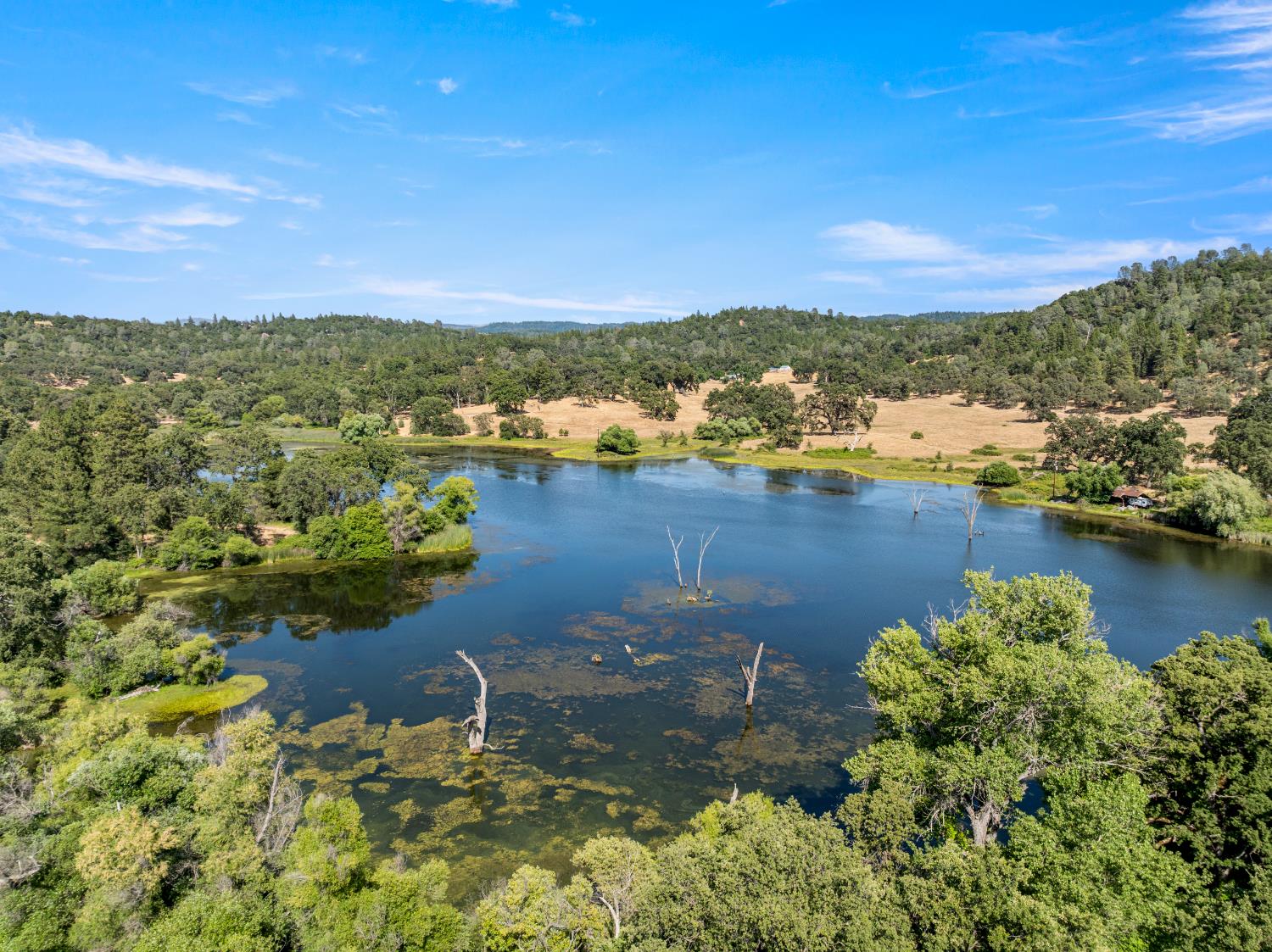 2162 Painted Pony Road