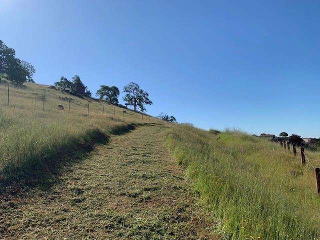 5529 Aspen Meadows Drive