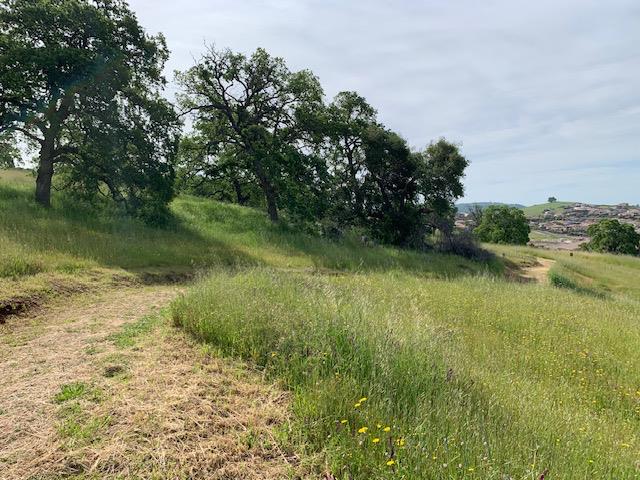 5529 Aspen Meadows Drive