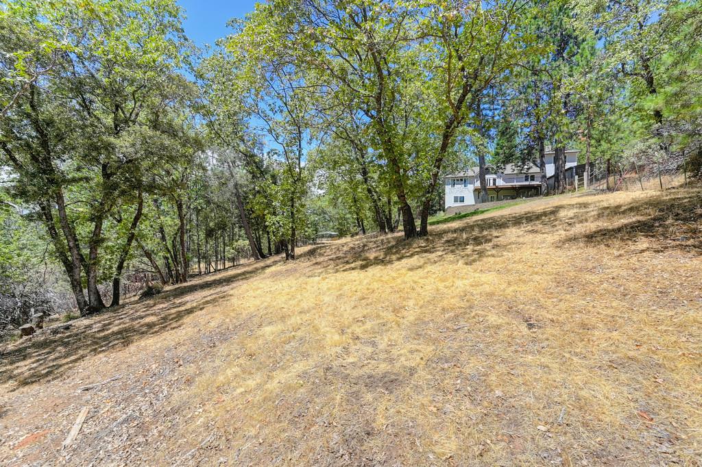 960 Cedar Pines Lane