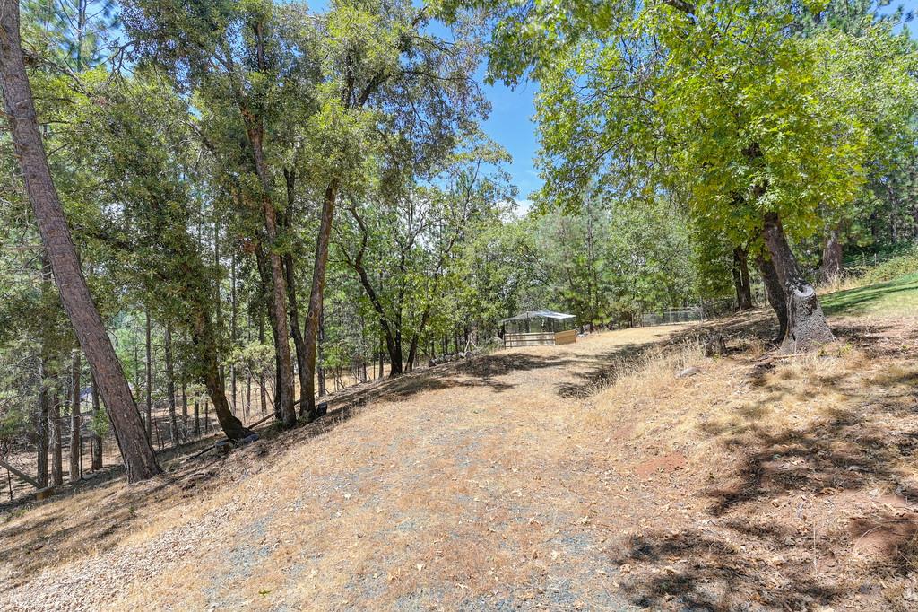 960 Cedar Pines Lane