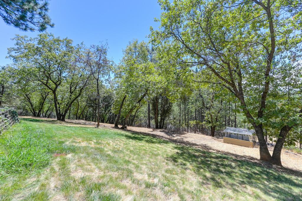 960 Cedar Pines Lane