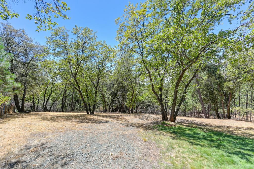 960 Cedar Pines Lane