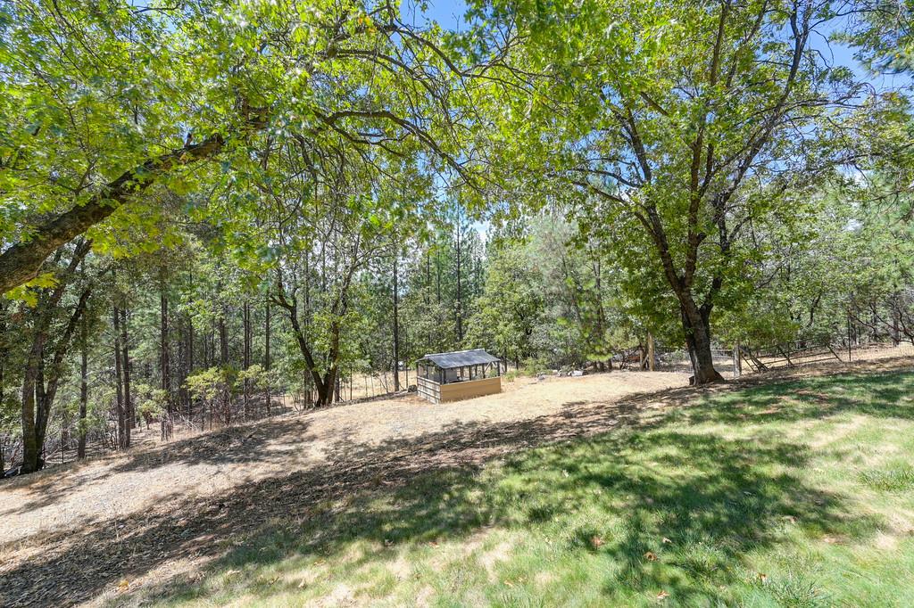 960 Cedar Pines Lane