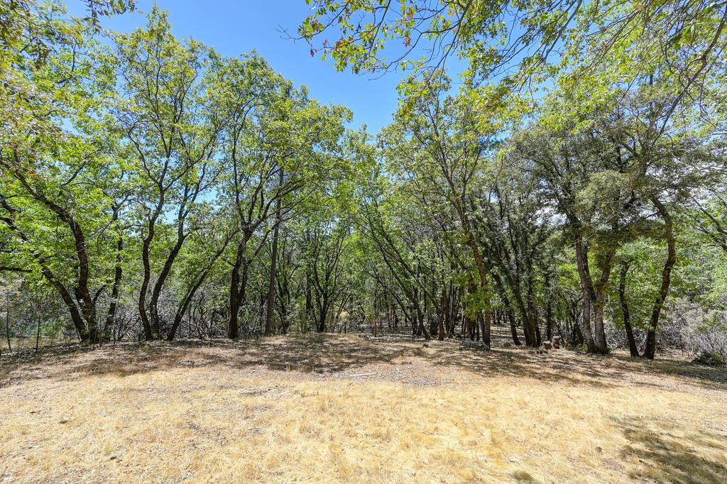 960 Cedar Pines Lane