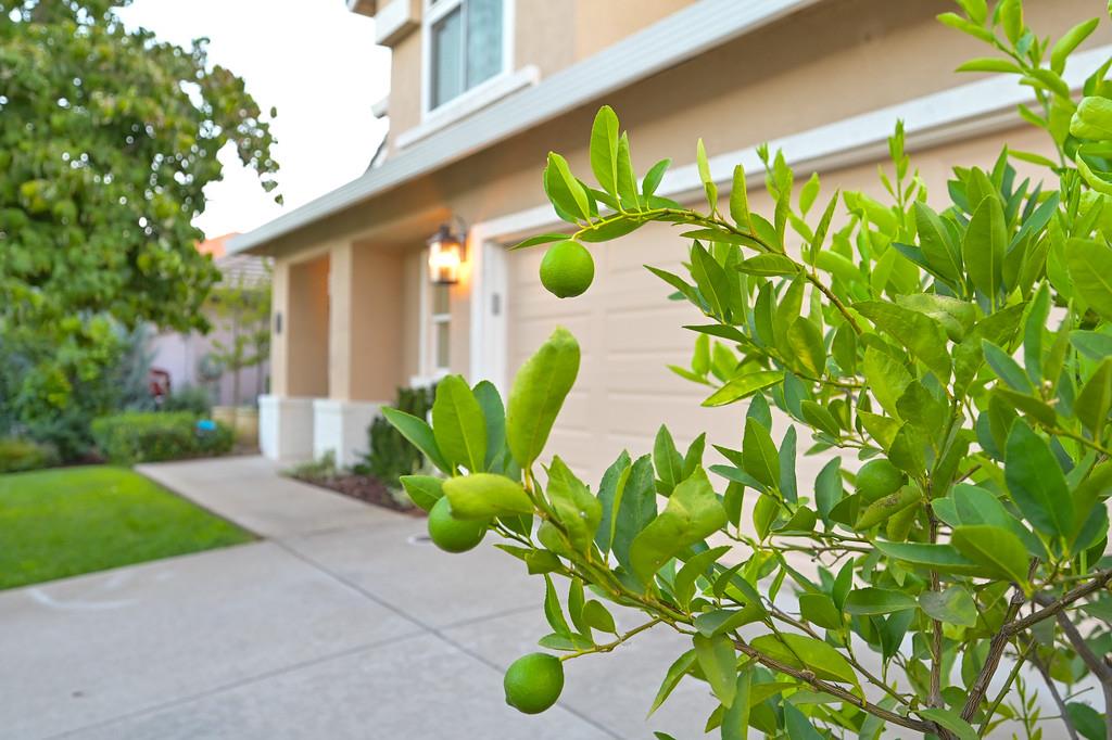 118 Gilded Rock Circle