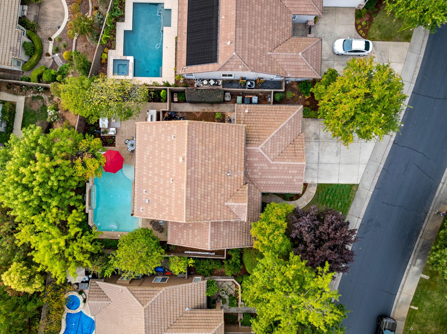 4008 Avellano Drive