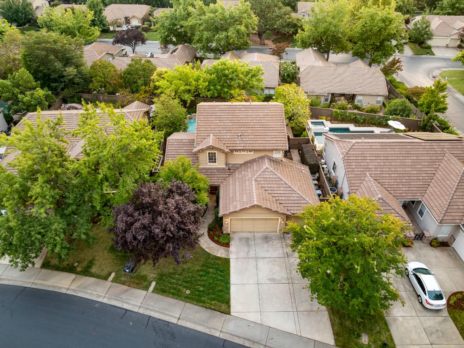 4008 Avellano Drive