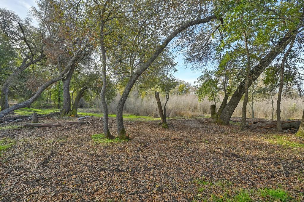 5855 Tree Swallow Circle