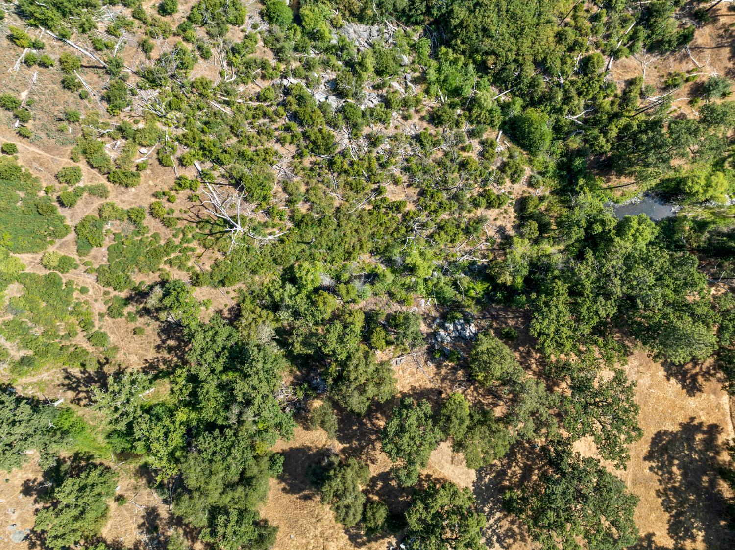 2162 Painted Pony Road