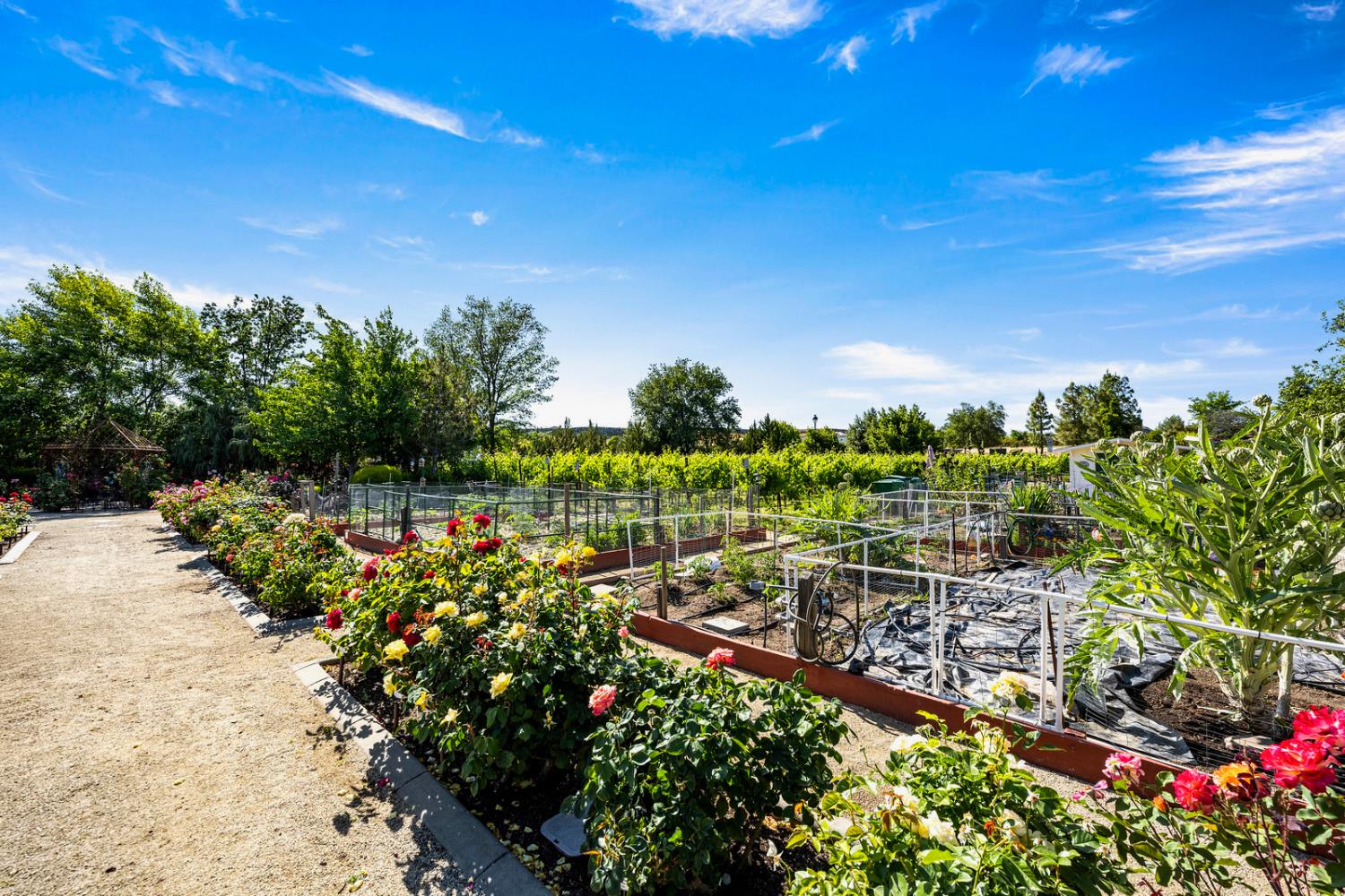 313 Nature Walk Court