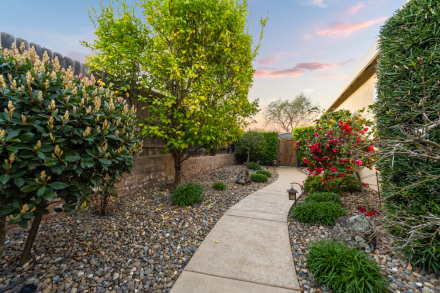 313 Nature Walk Court