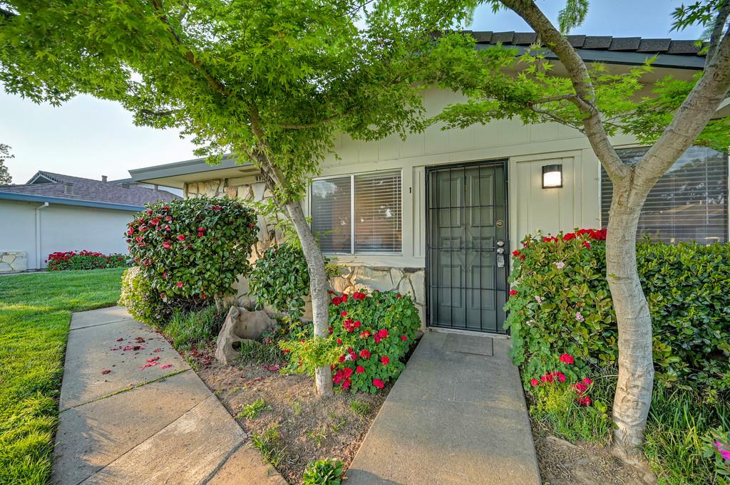 8951 El Mirador Drive 1