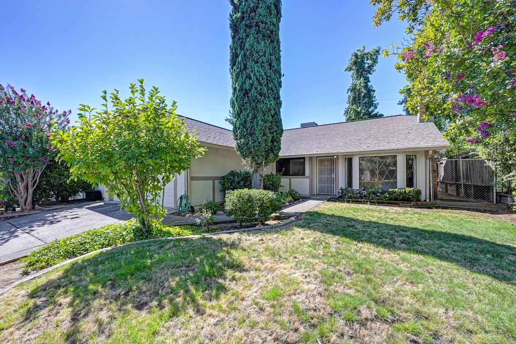 7424 Pimienta Drive