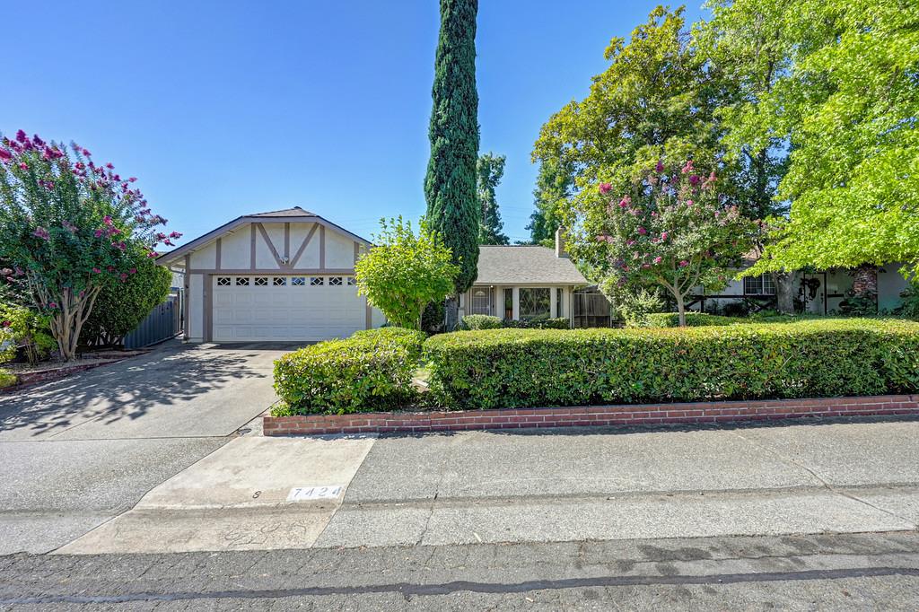 7424 Pimienta Drive