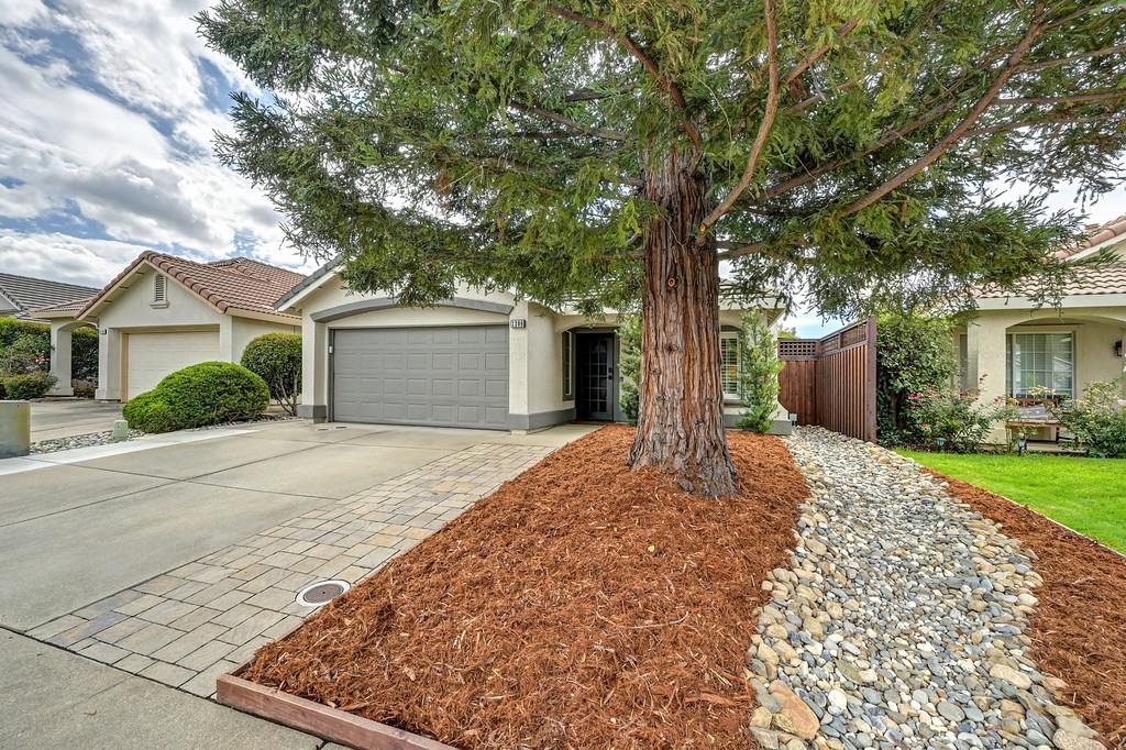 1208 Arbor Drive