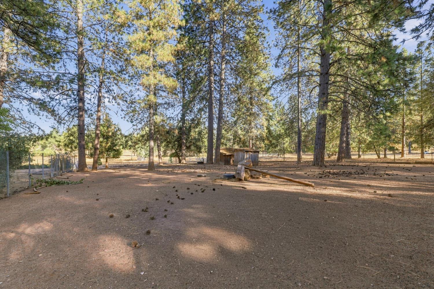 19526 Shawnee Trail