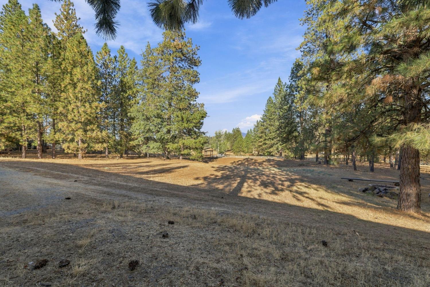 19526 Shawnee Trail