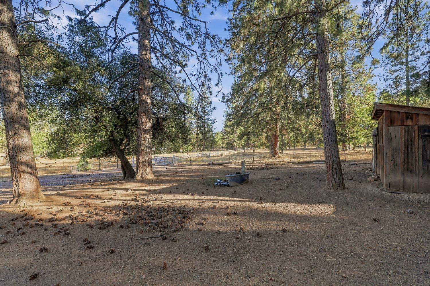 19526 Shawnee Trail