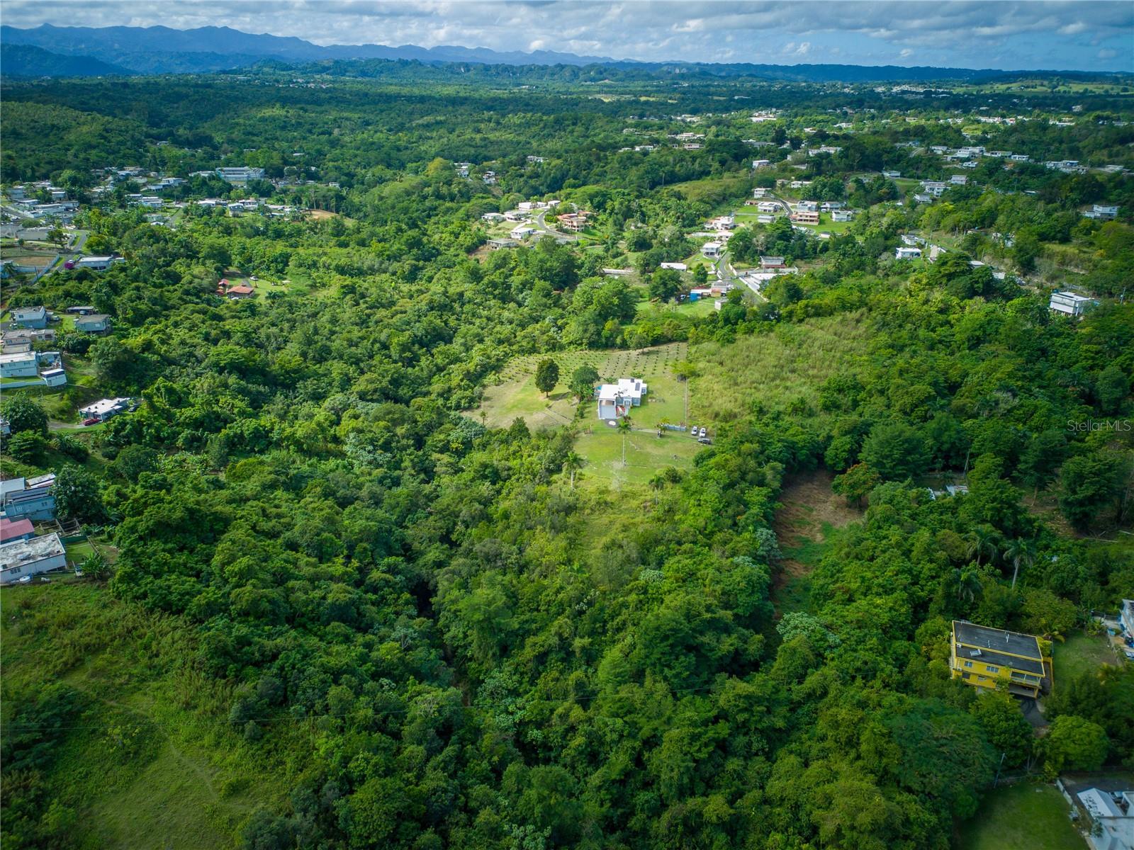 Carr 6645 SEC.NARVAEZ