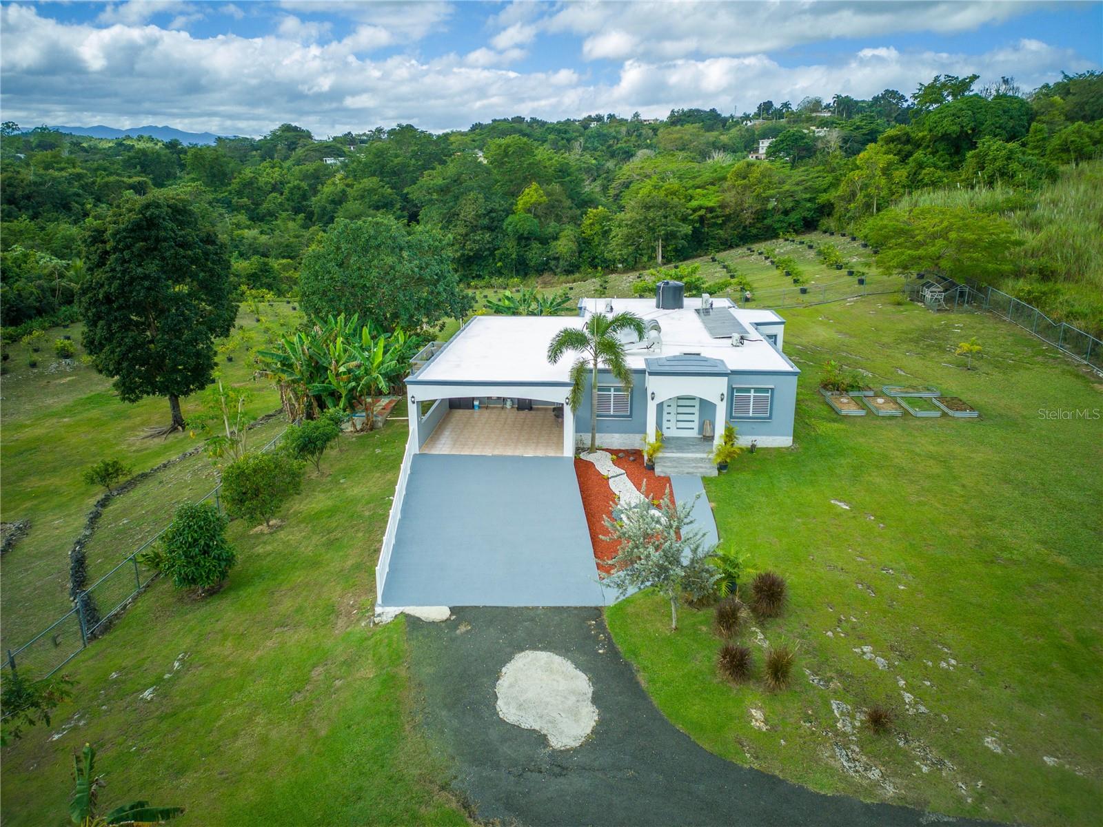 Carr 6645 SEC.NARVAEZ