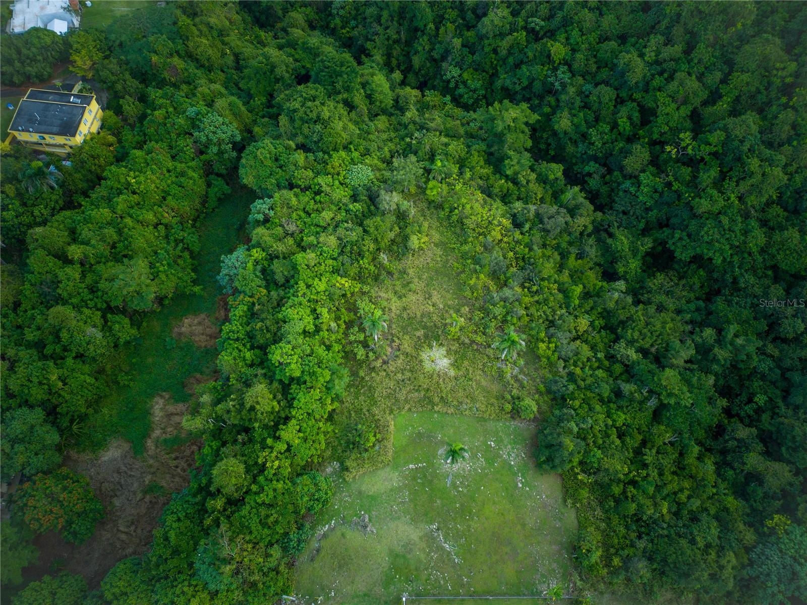 Carr 6645 SEC.NARVAEZ