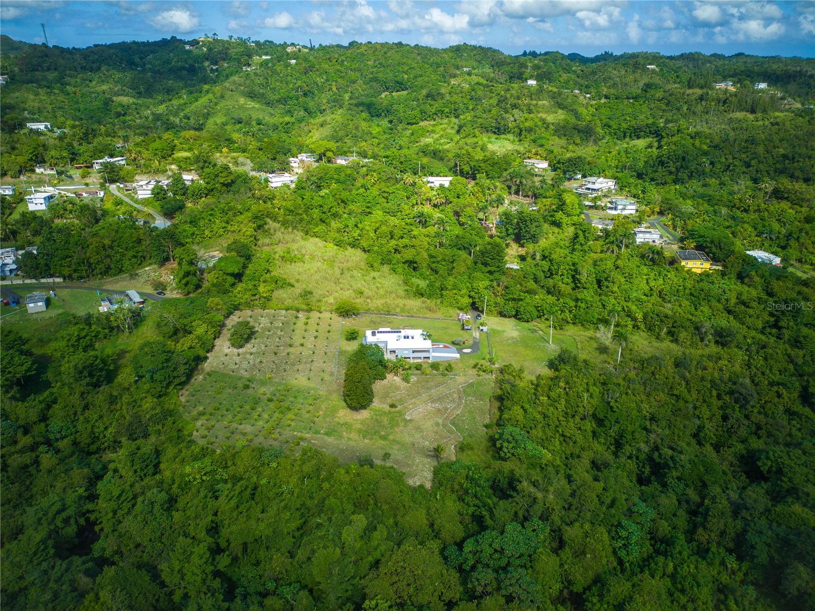 Carr 6645 SEC.NARVAEZ